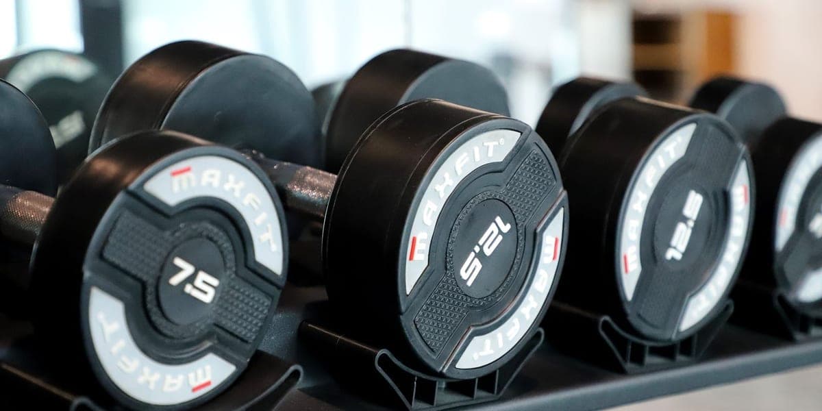 A row of black dumbbells of different weights arranged on a gym rack.