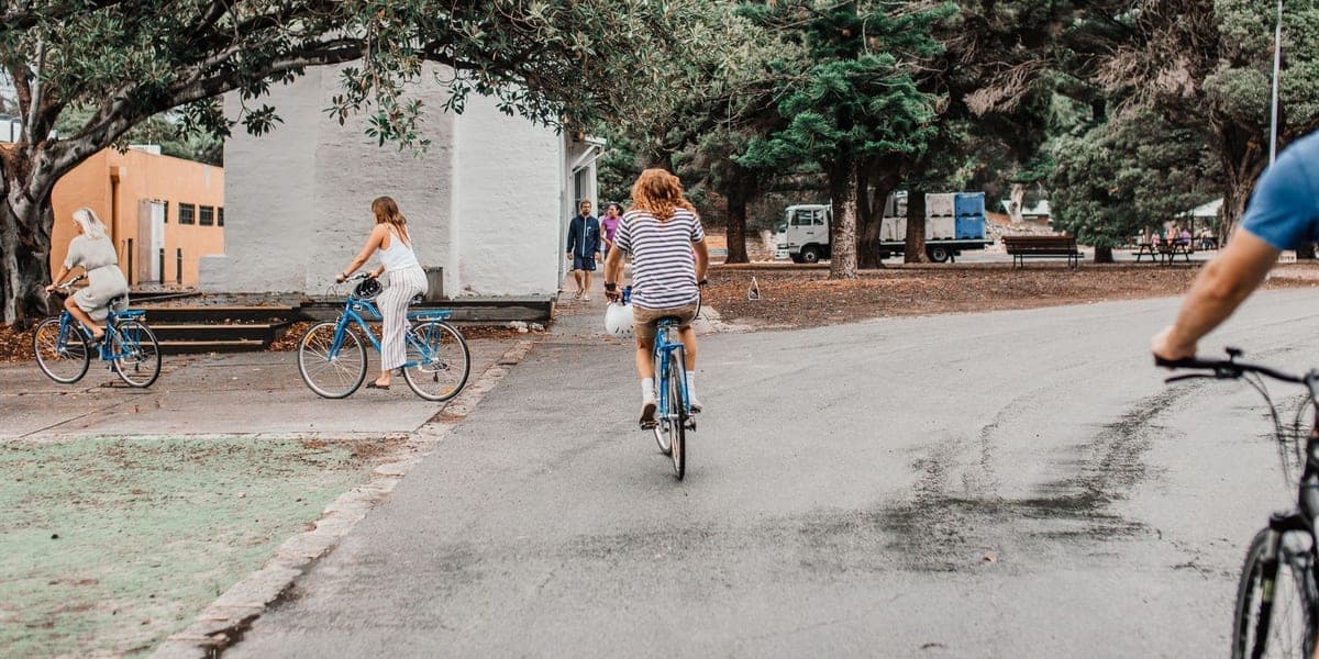 People riding bicycles along a tree-lined park path.